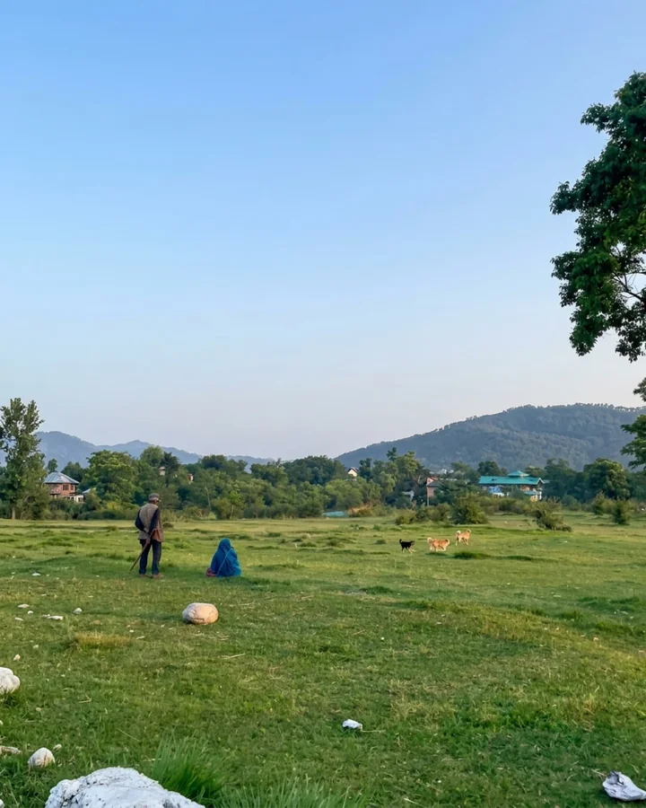 Before: Raw Pristine Land