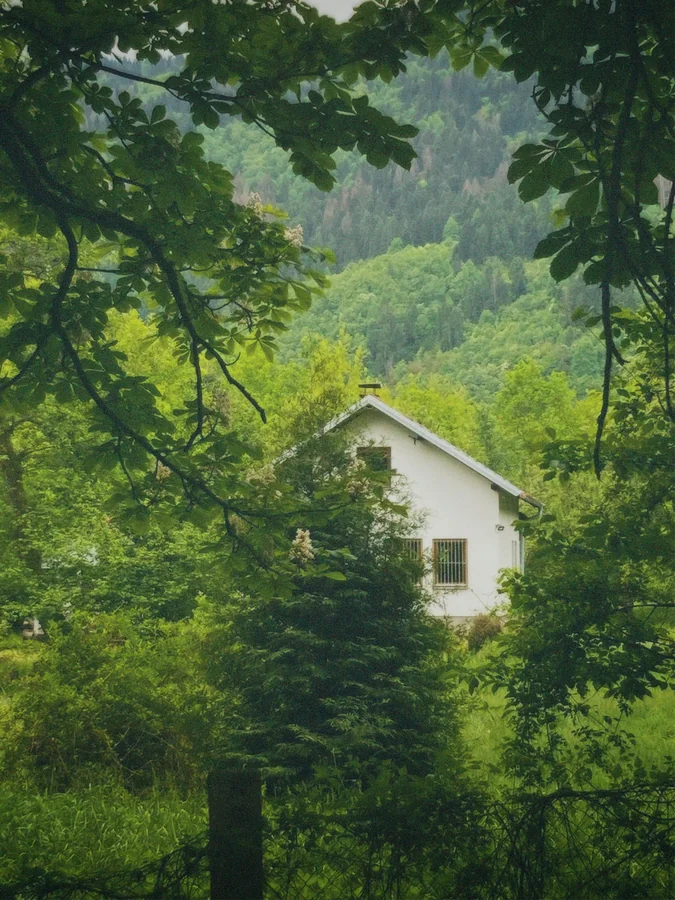 Our Vision - SEAD Realty Nature & Forest Community