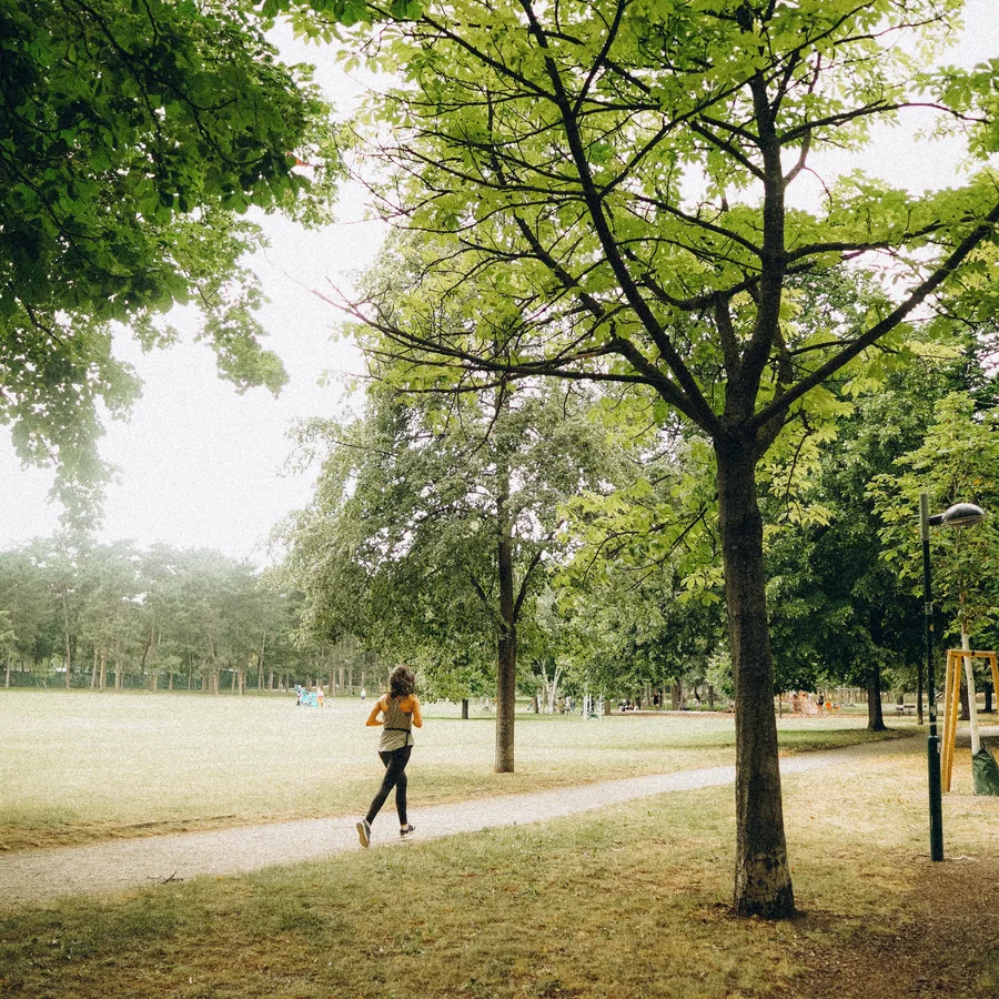 Forest Nature and Wellness