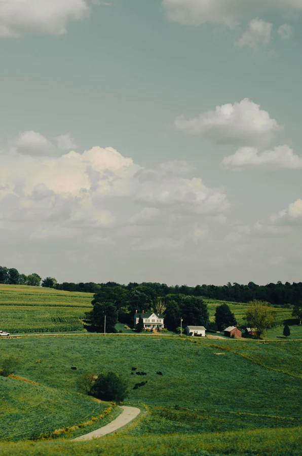 Nirvaana Hills Green Aravalli Rolling Farmlands