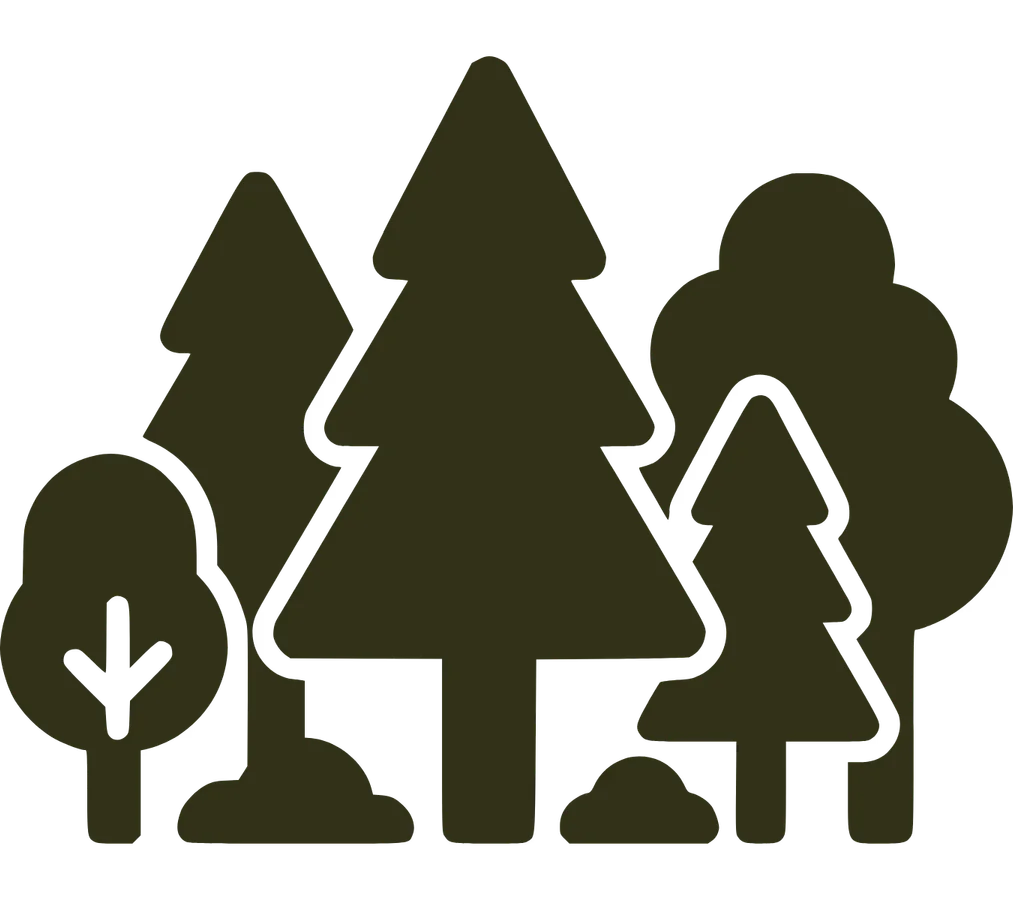 Miyawaki Afforestation