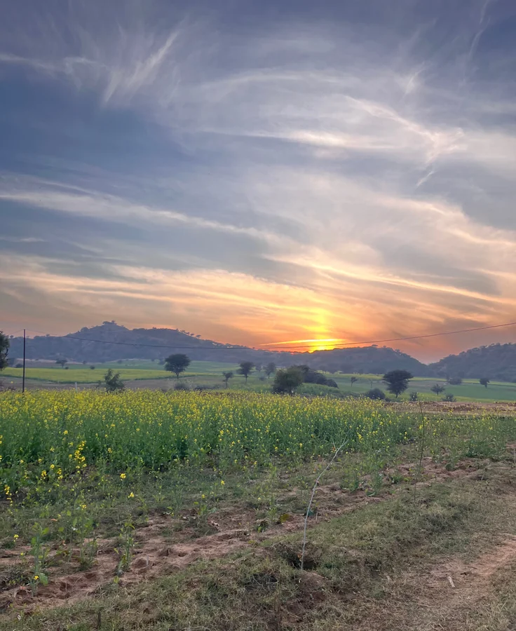 Nirvaana Hills 200-Acre Nature-Led Community